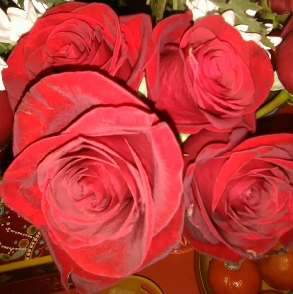 Meet your Posher Theresa - Picture 2 of 2